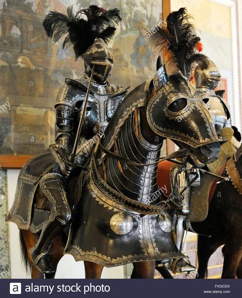 Knights Armour, European Knight Armor, Knight Reenactment, Knight Armor Museum, Ornate Knight Armor, Medieval Horse, State Hermitage Museum, Century Armor, Horse Armor