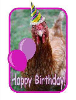 Chicken happy birthday Happy Birthday Squirrel, Happy Birthday Chicken, Chicken Birthday, Happy Birthday Wishes Pics, Birthday Wishes Pics, Funny Happy Birthday Wishes, Birthday Greetings Friend, Happy Birthday Greetings Friends, Birthday Wishes For Friend