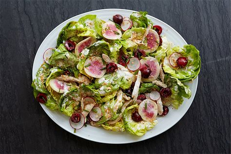 Bibb Lettuce, Chicken, and Cherry Salad With Creamy Horseradish Dressing recipe Chive Recipes, Horseradish Dressing, Cherry Salad, Bibb Lettuce, Creamy Horseradish, Cherries Salad, Fig Salad, Bridge Game, Classic Caesar Salad