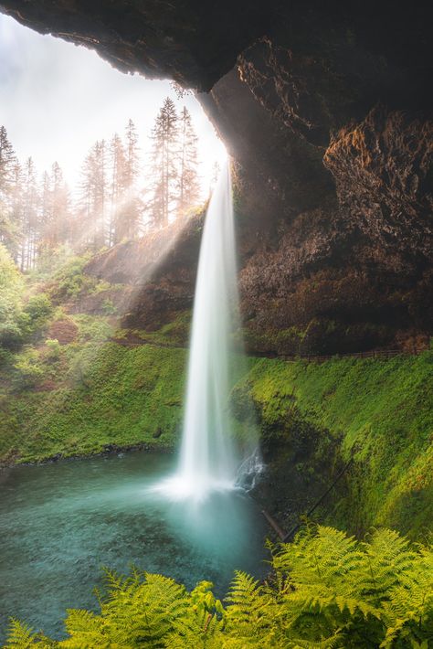 Paige Tingey (@paige_tingey_) / Twitter Silver Falls State Park, Big Wall Decor, Waterfall Wall Art, Oregon Waterfalls, Silver Falls, Big Wall Art, Fall Wall Art, Oregon Travel, Oversized Wall Art