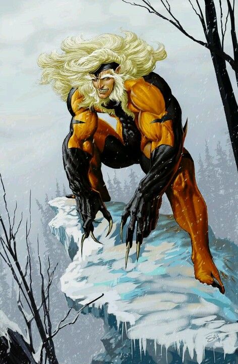 Sabretooth. You have to admit he's a pretty good villain! Sabretooth Marvel, Victor Creed, Wolverine Art, Comic Villains, Comic Book Artwork, Marvel Villains, Comic Pictures, Uncanny X-men, Marvel Comic Universe