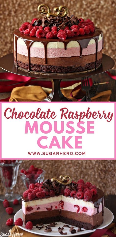 Chocolate Raspberry Mousse, Chocolate Raspberry Mousse Cake, Raspberry Mousse Cake, Mousse Chocolate, Raspberry Mousse, Fudgy Brownie, Raspberry Chocolate, Chocolate Curls, Raspberry Cake