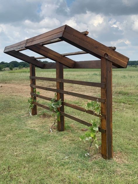 Vine Arbor, Grape Vine Trellis, Grape Trellis, Grape Arbor, Vine Trellis, Arbors Trellis, Backyard Projects, Garden Trellis, Garden Structures