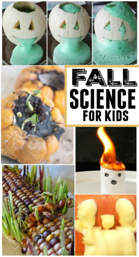 Fall Science, Science Experiments For Kids, Halloween Science, Experiments For Kids, Kid Experiments, Science Projects For Kids, Preschool Science, Homeschool Activities, Fall Activities