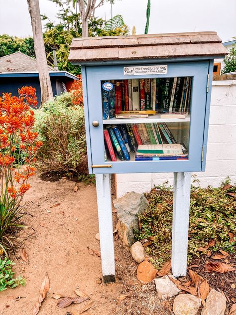 Neighborhood library - leave a book, take a book Yard Library House, Take A Book Leave A Book Library, Neighborhood Library, Neighborhood Book Library, Public Library Exterior, Community Book Library, If You Have A Garden And A Library Quote, Little Library, Social Interaction