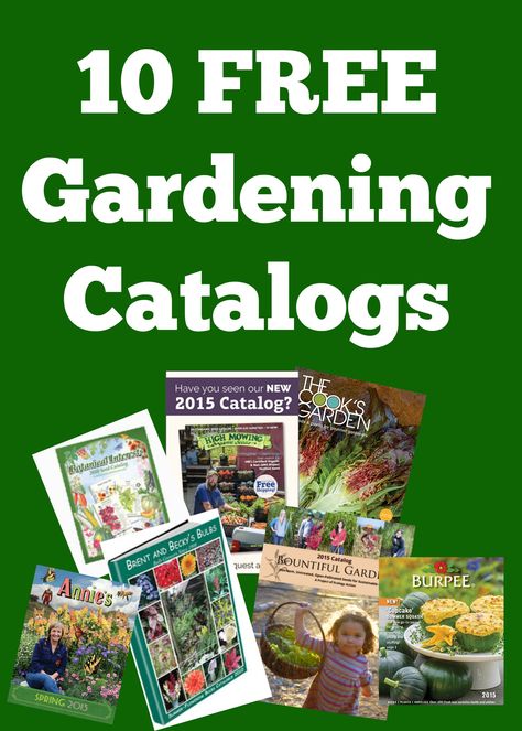 10 Free Gardening Catalogs to plan and enjoy for your upcoming garden. The winter months are a great time to let your imagination go wild! #gardening #catalog #garden #seeds #planting #gardenplan Companion Planting Guide, Companion Planting Chart, Garden Catalogs, Filling Food, Better Homes And Garden, Planner Printables Free, Easy Plants, Garden Pests, Fruit Garden