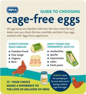 Excellent Health, Eggs In A Basket, Cage Free Eggs, Traditional Easter, Nutrition Guidelines, Healthy Eggs, Raw Garlic, Lower Your Cholesterol, Farm Eggs