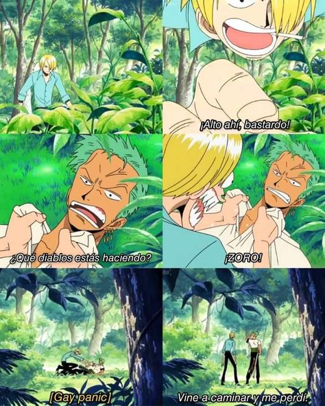 One Piece Gear 5, Zoro Sanji, رورونوا زورو, One Piece Photos, Sanji Vinsmoke, One Piece Ship, One Piece Funny, One Peice Anime, Fandom Funny