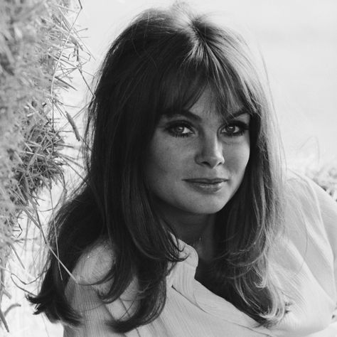 Jean Shrimpton Bombshell Hair Tips and ... Bombshell Blowout, 60’s Hair, 70’s Hair, Fitness Queen, Bombshell Hair, 1960s Hair, 60s Hair, Jean Shrimpton, 70s Hair