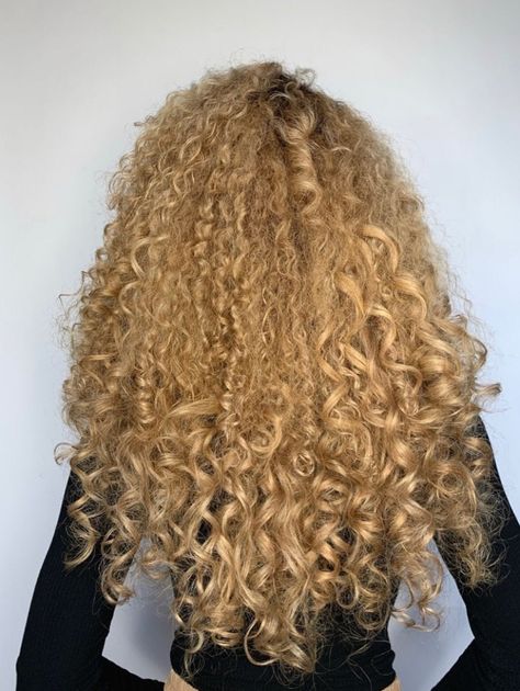 3b Blonde Curly Hair, Blonde 3b Hair, Blonde 3c Hair, Curly 3b, Long Loose Curls, Quick Curly Hairstyles, Minimalist Hair Accessories, Stacked Hair Bow, Friends Women