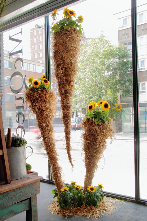 Like this idea. Flower shop window display. Fall Shop Window Display, Florist Window Display, Autumn Window Display, Flower Shop Display, Window Display Retail, Visual Merchandiser, Summer Window, Decoration Vitrine, Planting Sunflowers