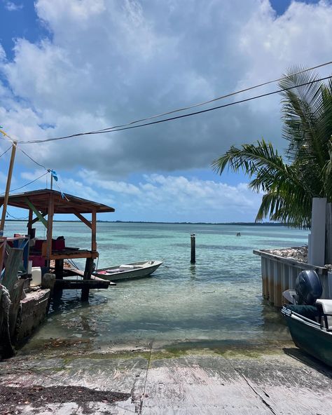 Bimini, Bahamas is a must see ☀️ let me tell you a few reasons why 👇🏼 (this will be the first post of many about this wonderful place) • The water is BEAUTIFUL. It’s a great place for snorkeling & seeing fish. We dove for conch shells (they are legit everywhere). It was so fun and being able to see everything in the water is amazing 🤩 • 7 miles to explore! Bimini is small but impactful. We rented a golf cart & legit drove up & down the island all day. It may be little; but there are tons o... Conch Salad, Bimini Bahamas, Conch Fritters, Conch Shells, Vacation Packing List, Chicken Shrimp, Bahamas Cruise, Vacation Quotes, Packing List For Vacation