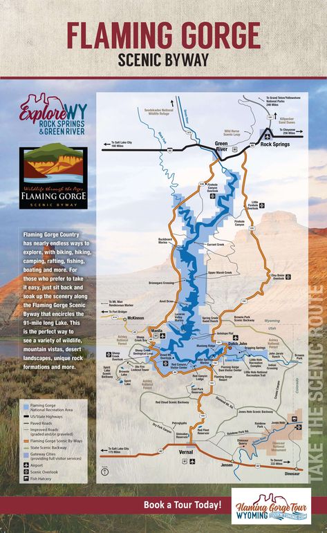 Flaming Gorge Scenic Byway Tour | Sweetwater County Wyoming Flaming Gorge Utah, Flaming Gorge, Pronghorn Antelope, Wyoming Vacation, Wyoming Travel, Rock Springs, Utah Travel, Lake Beach, Us Road Trip