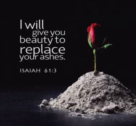 Isaiah 61:3 Beauty For Ashes Scripture, Faith Board, Psalms 91, Garment Of Praise, Beauty For Ashes, Isaiah 61, Verse Wallpaper, Quotes Bible, A Course In Miracles