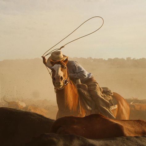 Branding Cattle, Maladaptive Daydreaming, Cattle Ranching, Western Life, Cattle Farming, Insta Inspo, The Sun, Horses, Branding