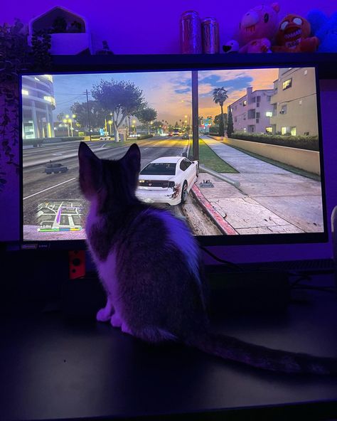 game • gamer • kitty • kitten • cat • gta • pc • computer • desktop • laptop •nintendo • cute • games • meow Car Video Game Aesthetic, Video Gamer Aesthetic, Playing Games Aesthetic, Cat On Computer, Gamers Aesthetic, Gta Pc, Cat Gaming, Aesthetic Relationship, Gamer Aesthetic