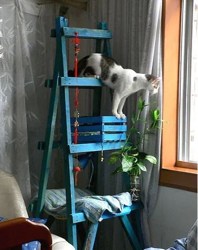 Cat Condo Diy, Homemade Cat Tower, Taking Cat, Cat Trees Homemade, Cat Tree Plans, Cat Tree Designs, Chat Diy, Cat Ladder, Cat Climber