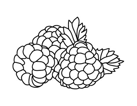 Nature Coloring Pages, Free Coloring Pictures, Lol Coloring Pages, Lol Coloring, Fruit Coloring Pages, Draw Easy, Easy Coloring, Raspberry Color, Easy Coloring Pages