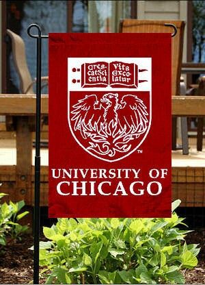 University Of Chicago, where Tim completer doctoral studies. We lived in Hyde Park for seven years. University Of Chicago Law School, University Of Chicago Aesthetic, Uic Chicago, Chicago Aesthetic, College Architecture, Chicago University, University Of Chicago, Washington Park, Essay Questions