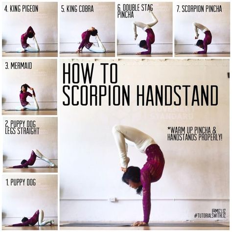 HOW TO SCORPION HANDSTAND✨ . Poses to warm your scorpion handstand ❤️ Things that need to happe Scorpion Handstand, Handstand Poses, Handstand Progression, Cardio Yoga, Yoga Handstand, Modele Fitness, Yoga Beginners, Latihan Yoga, Dancer Workout