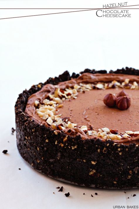 Hazelnut Cheesecake, Chocolate Chip Brownies, Hazelnut Chocolate, Oreo Recipes, Chocolate Cheesecake, Chocolate Hazelnut, Chocolate Baking, Cheesecake Recipes, Let Them Eat Cake