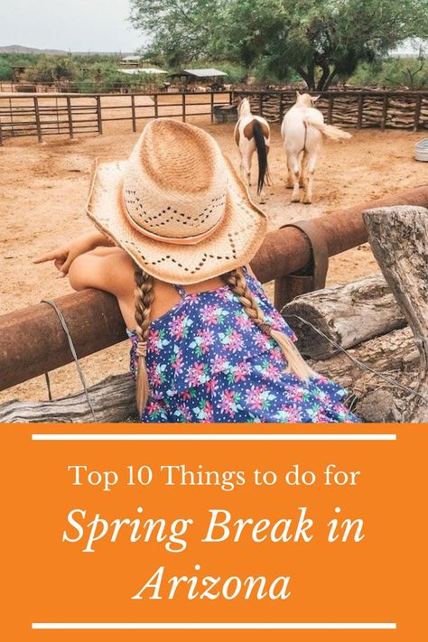 Oct 24, 2020 - Headed to Arizona for spring break training? Check out the Top 10 Things to Do for a Spring Break Arizona style. There is a ton of fun things to do! Arizona Spring Break, Spring Break With Kids, Mexico Spring Break, Spring Training Arizona, Phoenix Travel Guide, Road Trip Scavenger Hunt, Things To Do In Arizona, Phoenix Travel, Family Spring Break