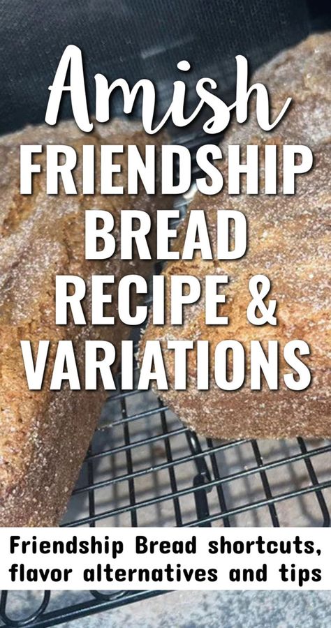 Amish Friendship Bread Recipes, Amish Bread Starter, Amish Bread Recipes, Cheese Bread Rolls, Amish Friendship Bread Starter Recipes, Friendship Recipe, Friendship Bread Recipe, Friendship Bread Starter, Amish Bread