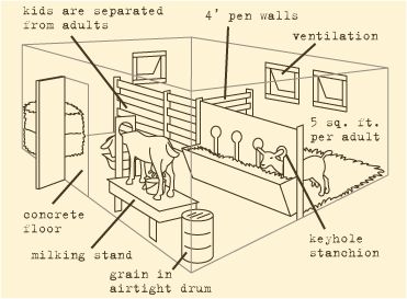 Goat Hacks, Milk Parlor, Milk Goats, Goat Playground, Sheep Ranch, Goat Shed, Livestock Barn, Livestock Shelter, Barn Layout