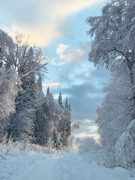 Light Blue Christmas Aesthetic, Snowing Aesthetic Wallpaper, Blue Christmas Background, Christmas Pic, Skiing Aesthetic, Winter Dream, Snowy Weather, Christmas Pics, Winter Mood