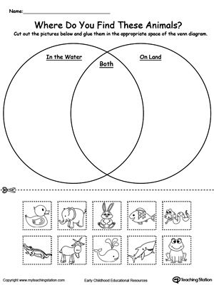 **FREE** Venn Diagram Animals In Water And On Land Worksheet.Practice sorting items into groups based on attributes by using this Venn Diagram printable worksheet and help your child strengthen their sorting and reasoning skills. Where do you find these animals, in water? on land? or both? Sorting Kindergarten, Venn Diagram Printable, Animal Classification Worksheet, Venn Diagram Worksheet, Subtraction Kindergarten, Venn Diagram Template, Animal Classification, Kindergarten Worksheets Free Printables, Animal Worksheets