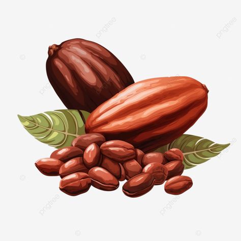 cacao cocoa beans png illustration Cocoa Bean Illustration, Cocoa Illustration, Png Illustration, Cocoa Beans, Ad Illustration, Flyer Ideas, Background Drawing, Transparent Image, Business Flyer