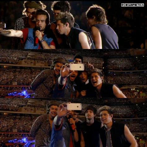 1d Shifting, Where We Are Tour, Niall And Harry, One Direction Concert, One Direction Photos, One Direction Pictures, 1 Direction, Great Team, Milan Italy