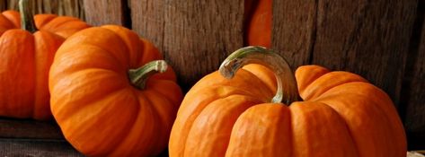 Pumpkins {Holidays Facebook Timeline Cover Picture, Holidays Facebook Timeline image free, Holidays Facebook Timeline Banner} Halloween Timeline, Pumpkin Photography, Autumn Photos, Pumpkin Wallpaper, Cover Facebook, Background Pics, Cholesterol Remedies, Cover Picture, Younique Presenter