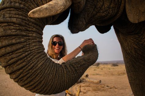 Jabulani Safari elephant interaction in South Africa Hoedspruit South Africa, Elephant Interaction, Africa Elephant, Luxury African Safari, Luxury Safari Lodge, Herd Of Elephants, Luxury Honeymoon, Luxury Safari, Shiva Painting