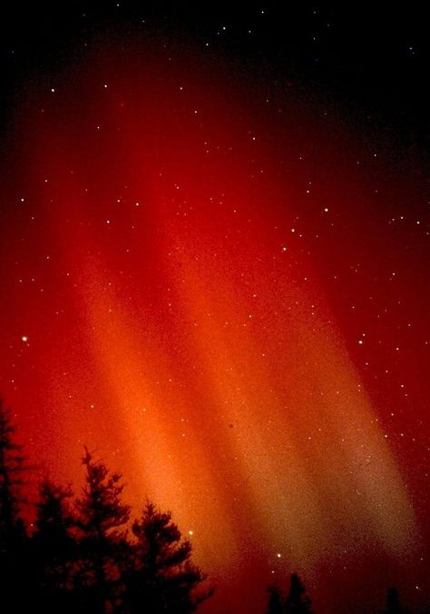 Aurora borealis Jonesport Maine Borealis Aurora, Canada Aesthetic, Red Aurora Borealis, Romans 1, Maine Living, Northern Exposure, Northern Lights (aurora Borealis), Aurora Borealis Northern Lights, Amazing Tattoos