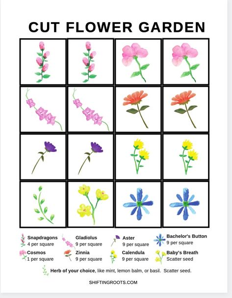 OR Cut Flower Garden Design, Diy Flower Bed, Farmhouse Garden Decor, Growing Poppies, Flower Garden Layouts, Bouquet Garden, Growing Cut Flowers, Flower Garden Plans, Cut Flower Farm