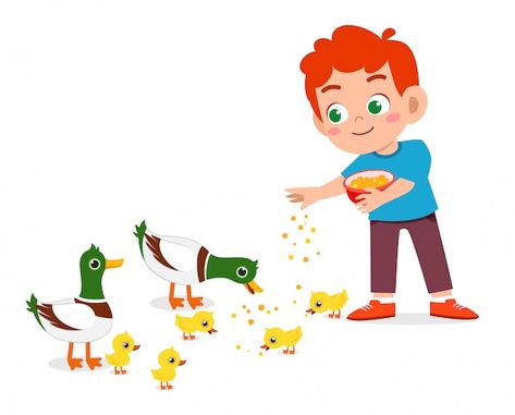 Happy cute boy feeding cute duck | Premium Vector #Freepik #vector #cute-boy #boy-girl #cute-people #kids-cartoon Duck Eating Bread, Daily Routine Activities, Animated Clipart, Teacher Cartoon, Duck Cartoon, Vector Food, Pet Vet, Cute Duck, Picture Books Illustration