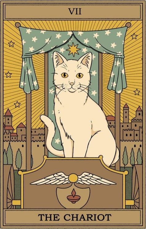 The Chariot Tarot, Pastel Poster, Tarot Cards Art, Celestial Art, Tarot Art, Cat Cards, Cat Posters, Cat Illustration, Cat Drawing