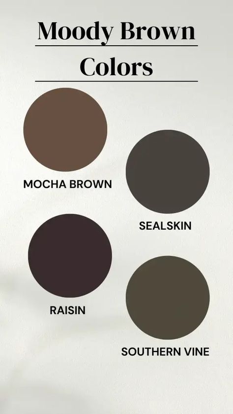 The Best Dark and Moody Paint Colors for Your Home in 2024 - Design to Build Dark Neutral Wall Colors, Warm Moody Paint Colors, Dark Basement Aesthetic, Brown Tones Aesthetic, Best Moody Paint Colors, Forest Green Paint Color, Moody Paint Colors, Moody Paint, Energy Colors