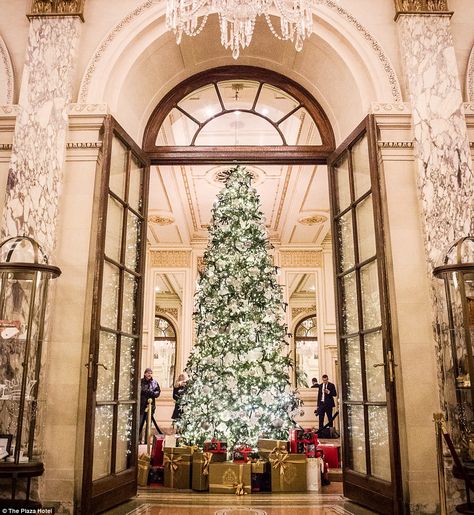 One of the most impressive hotels is the shining feature in The Plaza Hotel in New York, w... Hotel Christmas Decorations, New York Christmas Time, Christmas In New York Aesthetic, The Plaza Hotel Nyc, New York Christmas Aesthetic, New York Christmas Tree, Hotel Christmas, Holidays In New York, Christmas Nyc