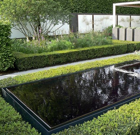 the garden: Water as an Element Garden Water Feature, Modern Garden Design, Water Features In The Garden, Contemporary Garden, Water Gardens, Garden Water, Garden Show, Chelsea Flower, Garden Landscape Design