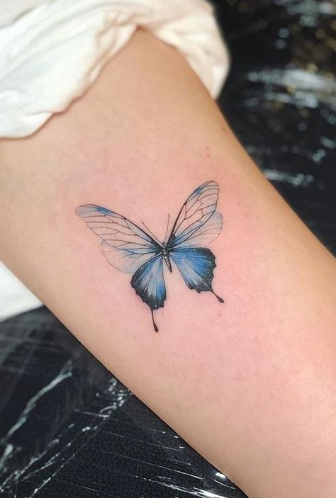 Tattoo Blue Butterfly, Blue Ink Tattoo Words, Butterfly Blue Tattoo, Baterflay Tattoo, Blue Ink Butterfly Tattoo, Buterfluffy Tatoos, Blue Ink Tattoo, Butterfly Tattoo Back, Yellow Butterfly Tattoo