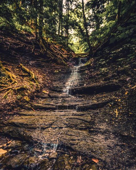 Behind A Waterfall, Fire And Water, Eternal Flame, Western New York, Natural Phenomena, Take A Breath, Fall Photos, Round Trip, Vibrant Green