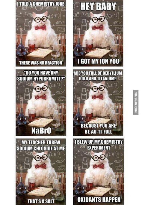 Chemistry Cat Jokes Compilation  If you laugh hysterically, you are my new friend!!! bahaha Science Cat, Chemistry Puns, Chemistry Cat, Nerdy Jokes, Science Puns, Chemistry Humor, Nerd Jokes, Chemistry Jokes, Cat Jokes