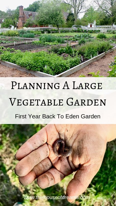 Large Vegetable Garden Design, Large Garden Layout, Market Garden Layout, Large Vegetable Garden Layout, Garden Guilds, Vegan Homestead, Back To Eden Garden, Large Vegetable Garden, Garden Setup