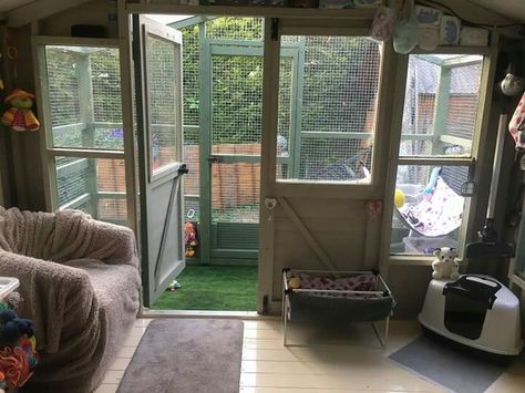 Inside ferret shed Ferret Playpen, Ferret Diy, Sheds Ideas, Ferret Stuff, Kennel Ideas, Pet Shed, Ferret Cage, Guinea Pig Cage, Human Babies