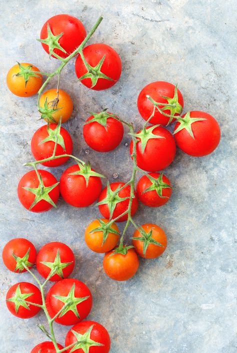 tomatoes Best Tomatoes To Grow, Tomato Tree, Hibiscus Leaves, Seed Raising, Heirloom Tomato Seeds, Tomato Vine, Summer Harvest, Fertilizer For Plants, Cherry Tomato