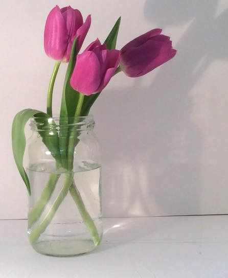 Flower Vase Reference Photo, Flowers In Vase Reference Photo, Tulip Reference Photo, Tulip Still Life Photography, Photos Of Flowers In Vases, Tulip Reference, Tulip In Vase, Tulip Still Life, Tulips Still Life