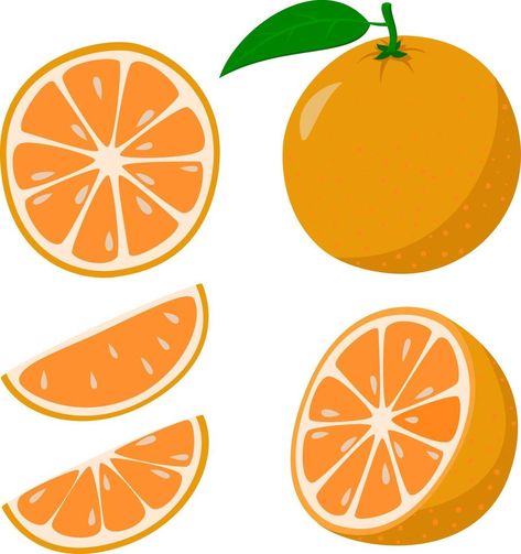 Fresh orange. Whole orange fruits and an orange cut in half. Cartoon style. vector illustration isolated on a white background Orange Cartoon Aesthetic, Orange Fruit Art, Orange Cartoon, Orange Vector, Cartoon Orange, Vector Nature, Cut Orange, Orange Cut, Fruit Vector