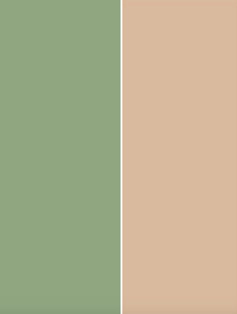 Bridesmaids color scheme :) sage green & nude Pastel Green Colour Combination, Color Scheme Sage Green, Bridesmaid Color Scheme, Nude Color Palette, Green Color Combinations, Brown Color Schemes, Colour Combinations Fashion, Wedding Moodboard, Bridesmaid Colors